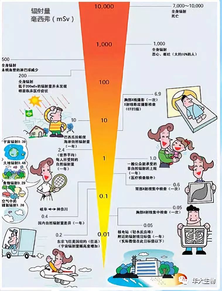 广州食品辐照